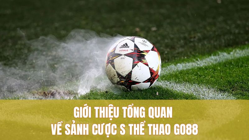 S Thể Thao GO88 Và Chiến Thuật Đặt Cược Hiệu Quả 1 Giới thiệu tổng quan về sảnh cược S thể thao GO88