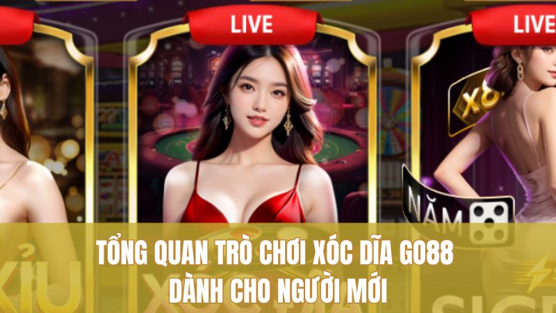 Khám Phá Xóc Dĩa GO88 Đáng Chơi Với Luật Rõ Ràng 1 Tổng quan trò chơi Xóc Dĩa GO88 dành cho người mới